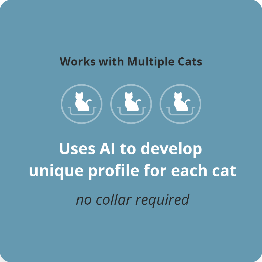 04_petivityworkswithmultiplecats.png