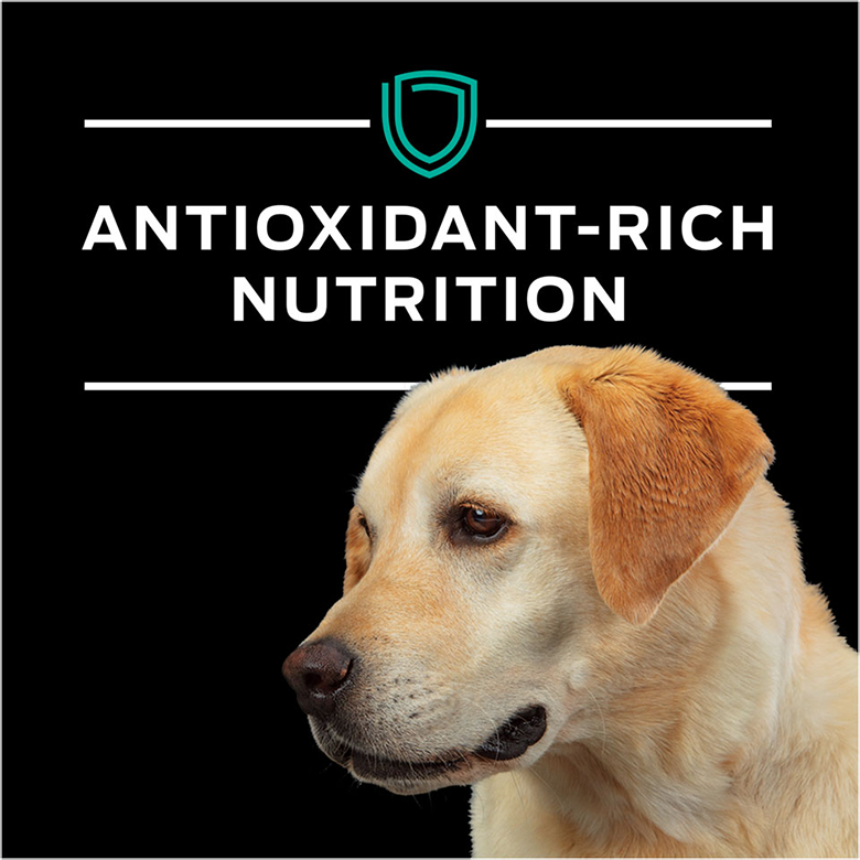 canine-en-naturals-wet-fb4.png