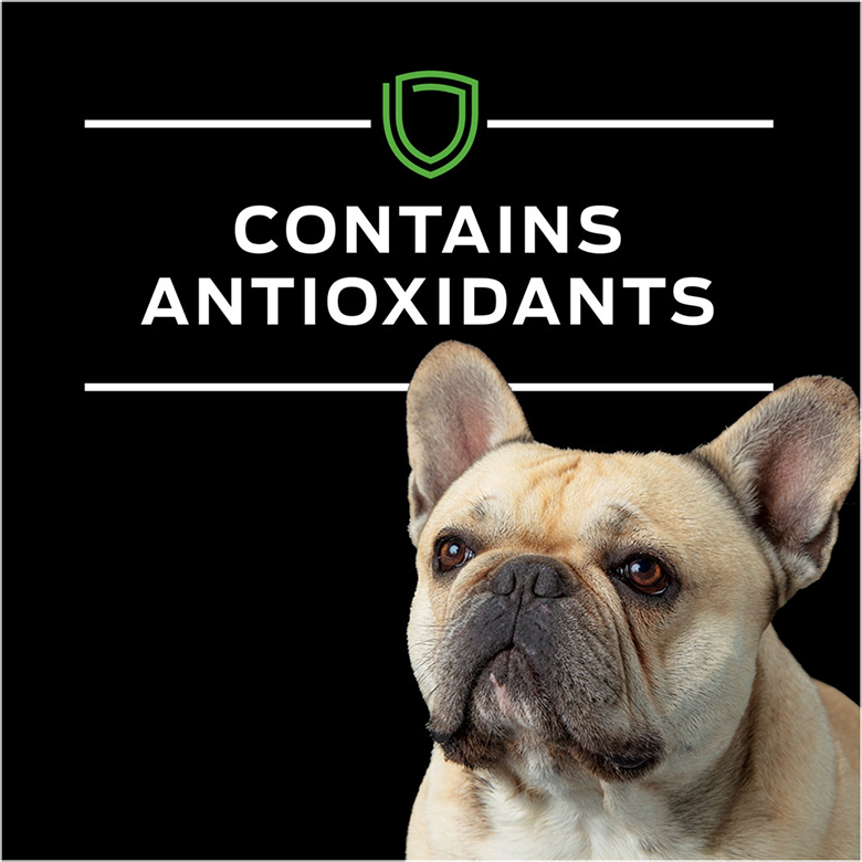 canine-ha-fb4_1.png