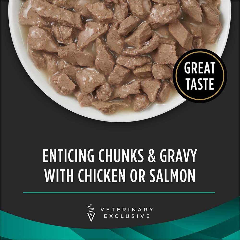 enticing-chunks-and-gravy-with-chicken-or-salmon.jpg