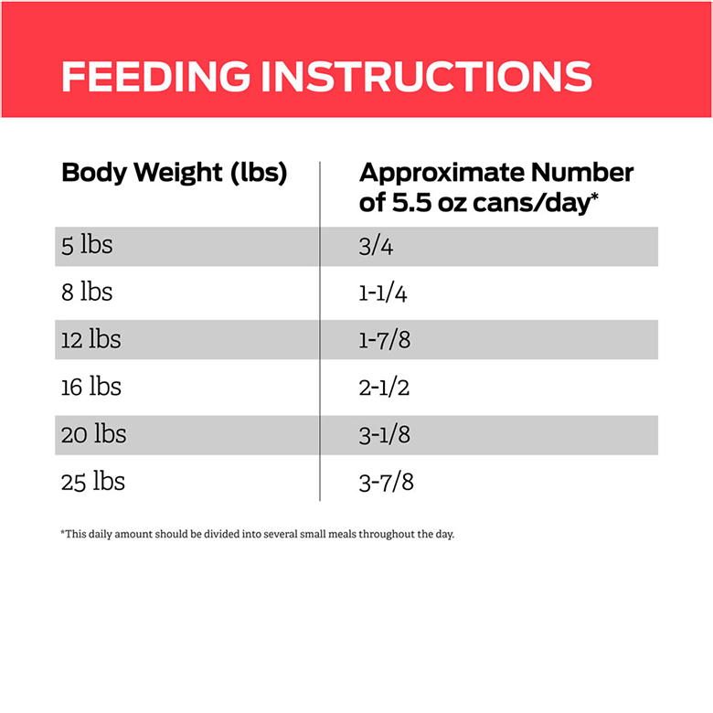 feline-dm-wet-feeding.png