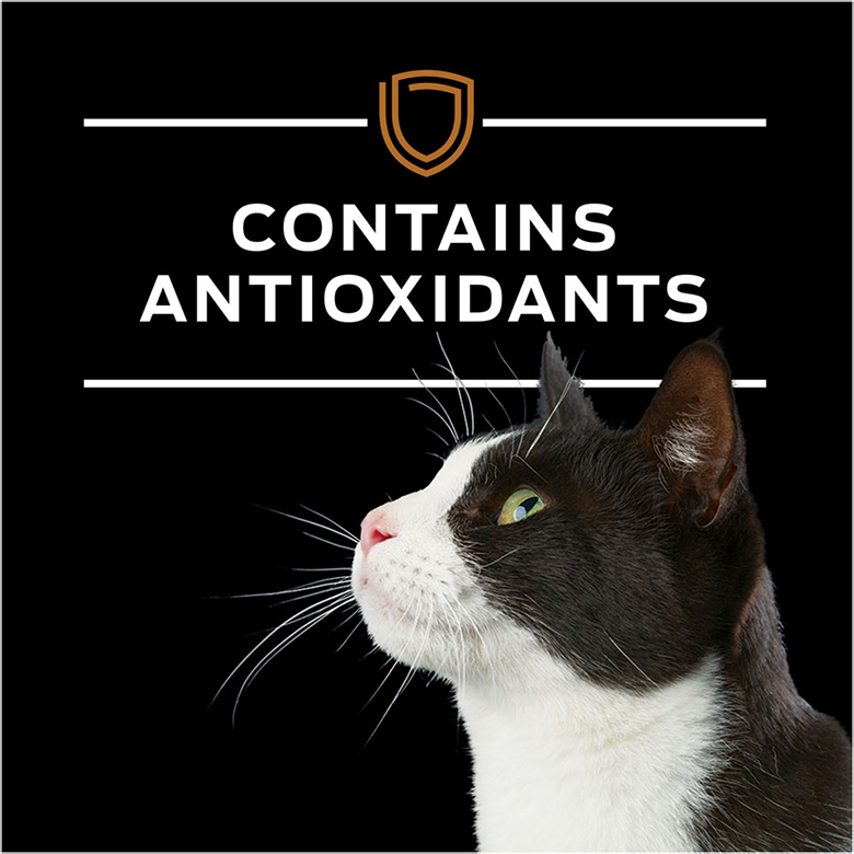 feline-nf-advanced-fb4.png