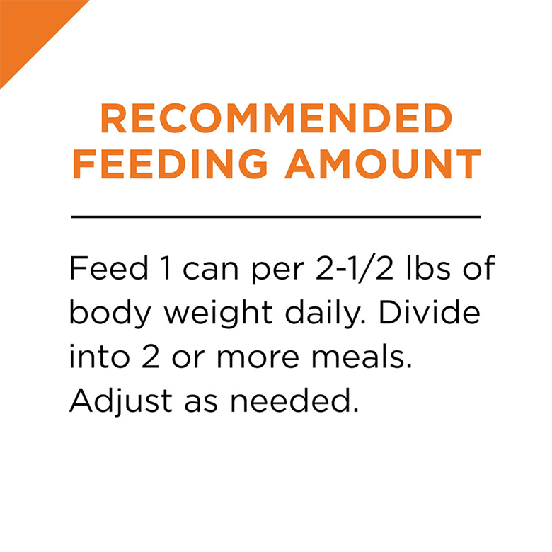 feline-seafood-stew-feeding.png