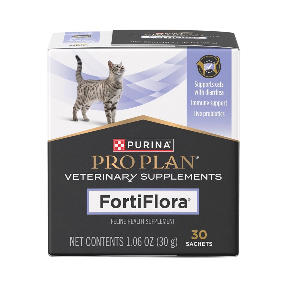 ff_cat_1000x1000_1.jpg