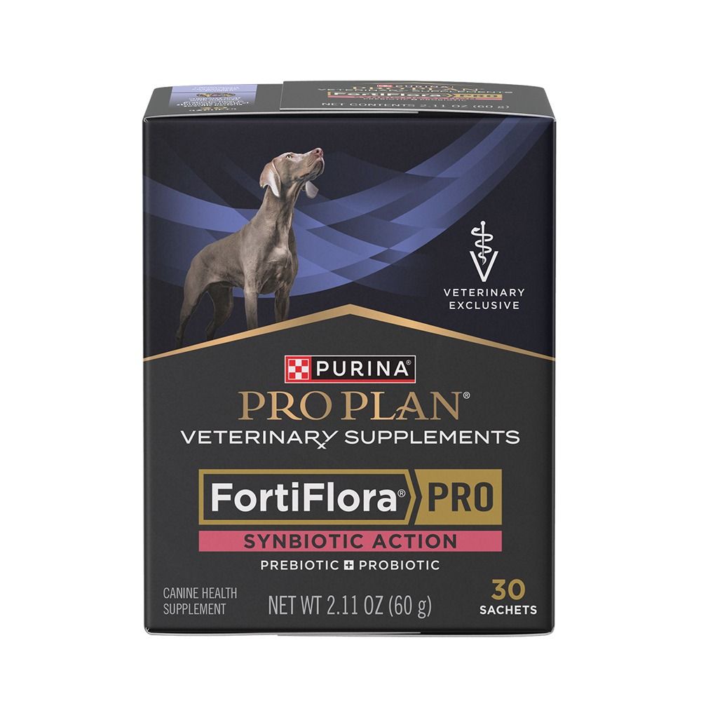 ff_pro_dog_1000x1000_1.jpg