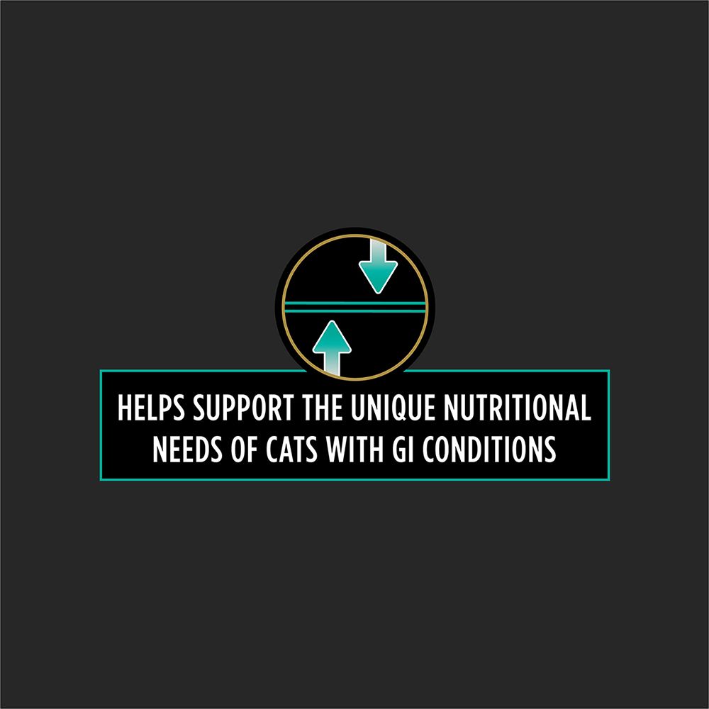 helps-support-unique-nutritional-needs-of-cats-with-gi-conditions.jpg