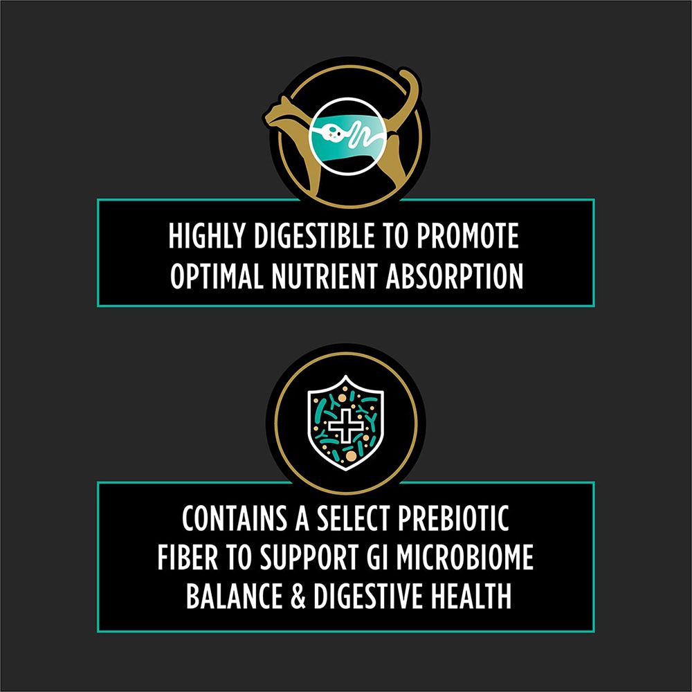 highly-digestible-prebiotic-fiber-supports-gi-microbiome-balance.jpg