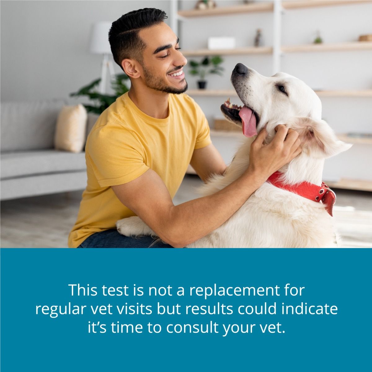 petivity-at-home-oral-health-testing-kit-consult-vet.jpg