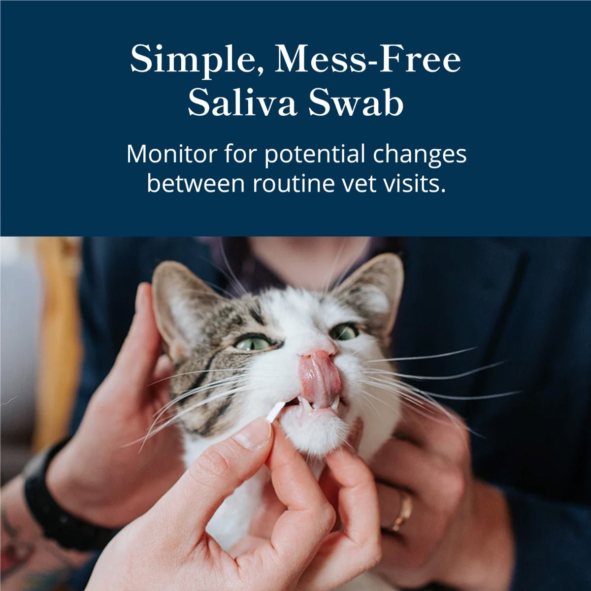 petivity-at-home-oral-health-testing-kit-saliva-swab.jpg