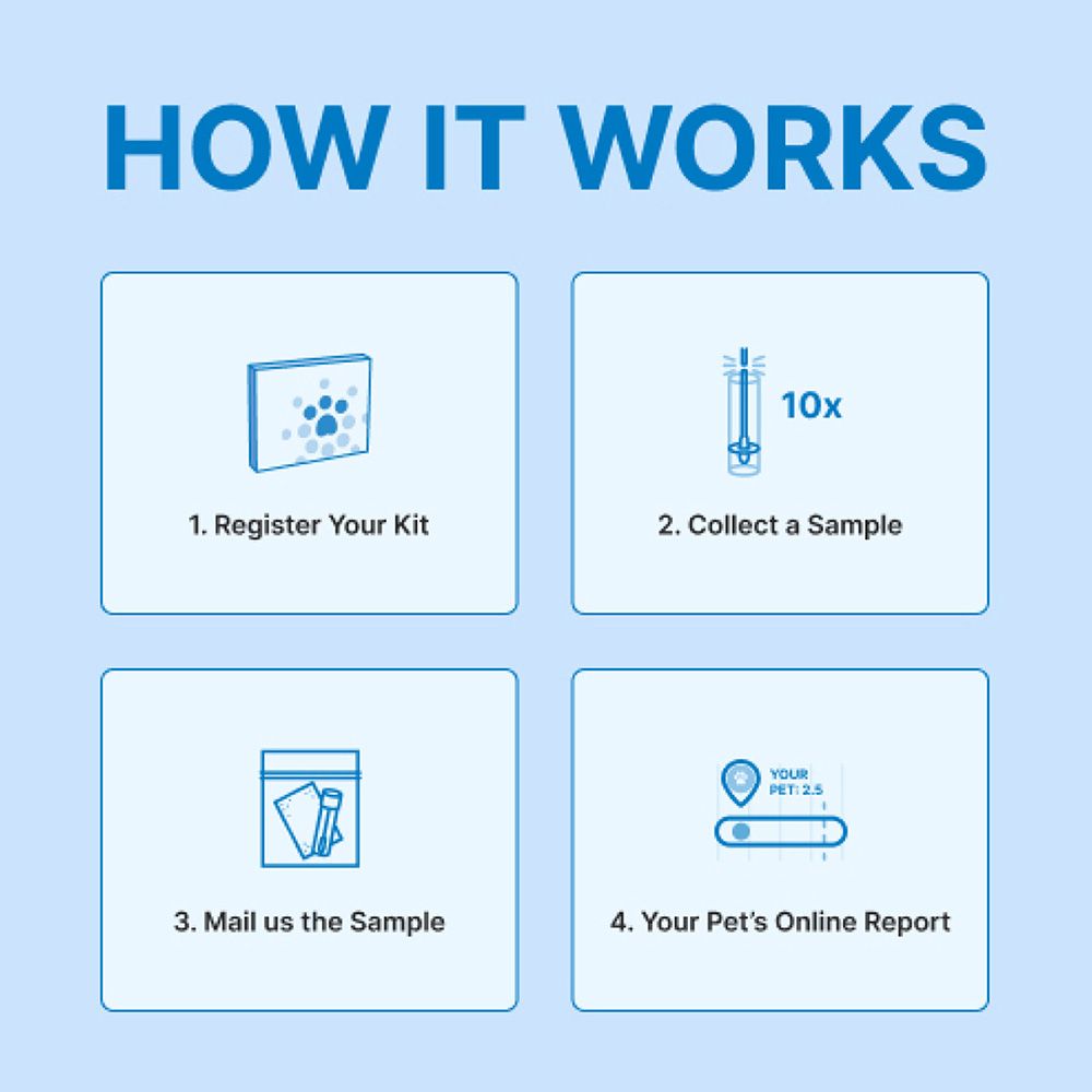 petivity-microbiome-analysis-kit-how-it-works.jpg