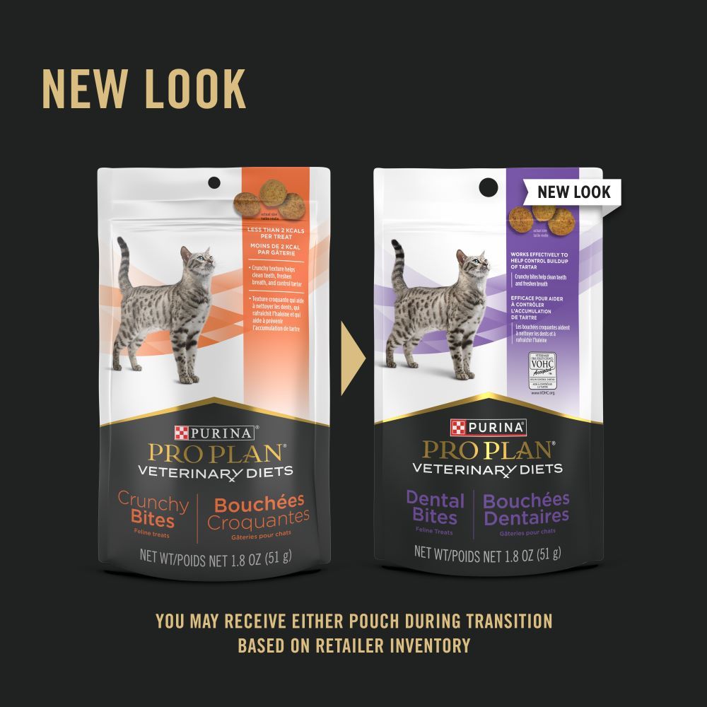 ppvd_cat_dental_bites_newlook_transition.jpg
