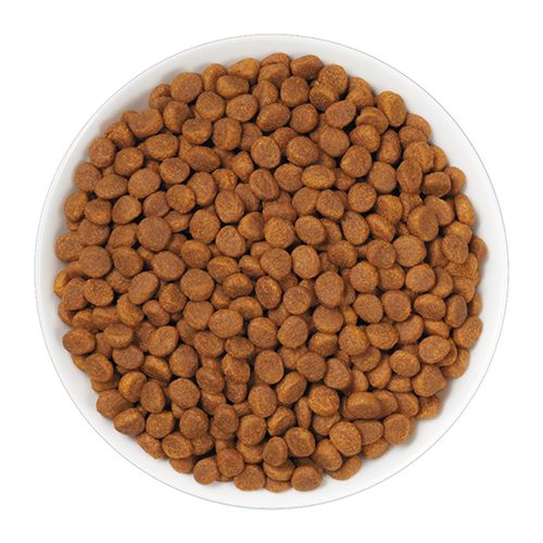 ppvd_cat_dry_dm_1_500x500.jpg
