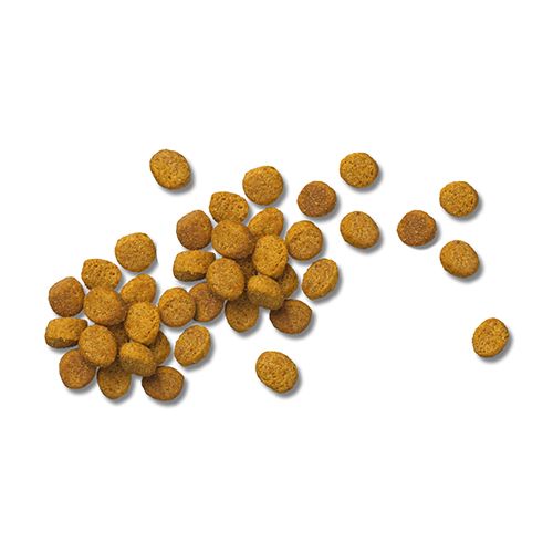 ppvd_cat_dry_om_1_500x500.jpg