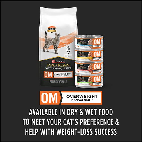 ppvd_cat_dry_om_5_500x500.jpg