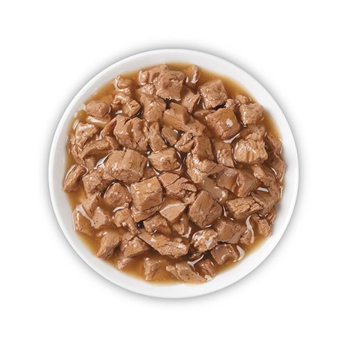 ppvd_cat_wet_om_ss_1_500x500.jpg