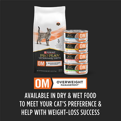 ppvd_cat_wet_om_ss_5_500x500.jpg