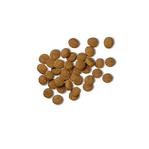 ppvd_dog_dry_jm_product_500x500.jpg