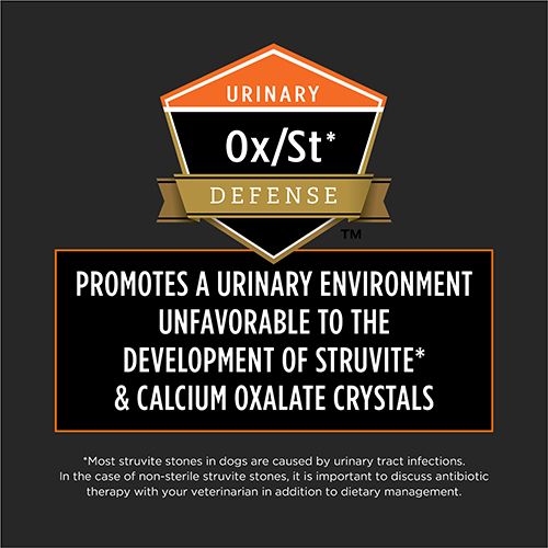 ppvd_dog_dry_om_4_500x500.jpg