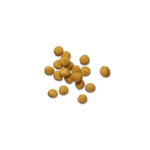 ppvd_dog_dry_omssb_prod_500x500.jpg