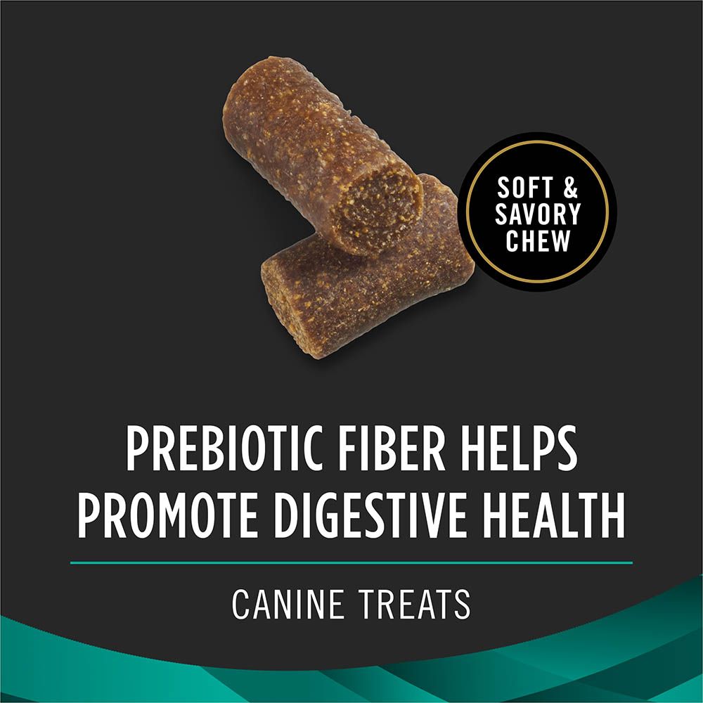prebiotic-fiber-helps-promote-digestive-health.jpg