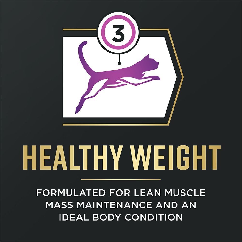pro-plan-advantedge-senior-support-adult-dry-cat-food-healthy-weight.jpg