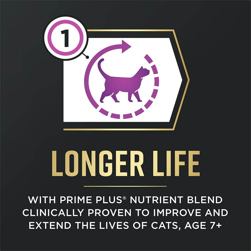 pro-plan-advantedge-senior-support-adult-dry-cat-food-longer-life.jpg