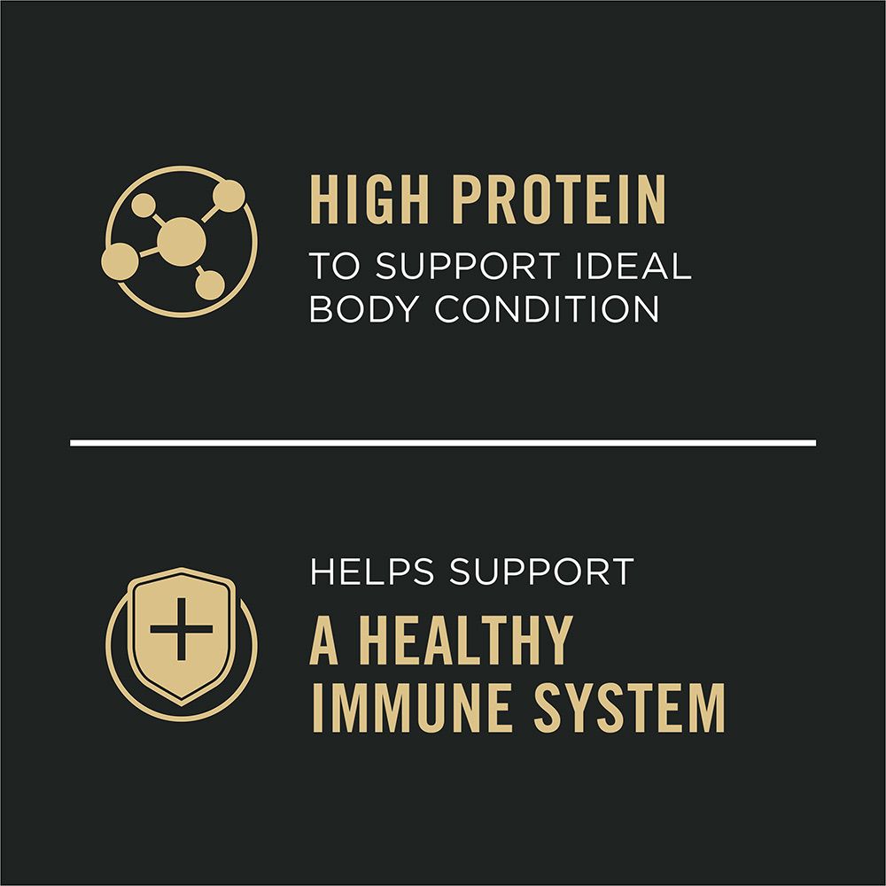 pro-plan-complete-essentials-wet-dog-food-high-protein-immune-system.jpg
