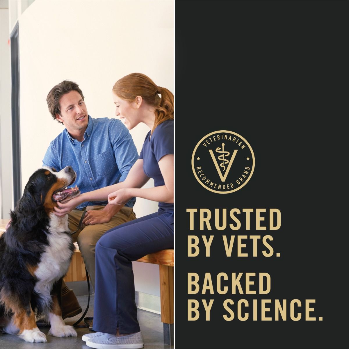 pro-plan-dog-food-trusted-by-vets.jpg