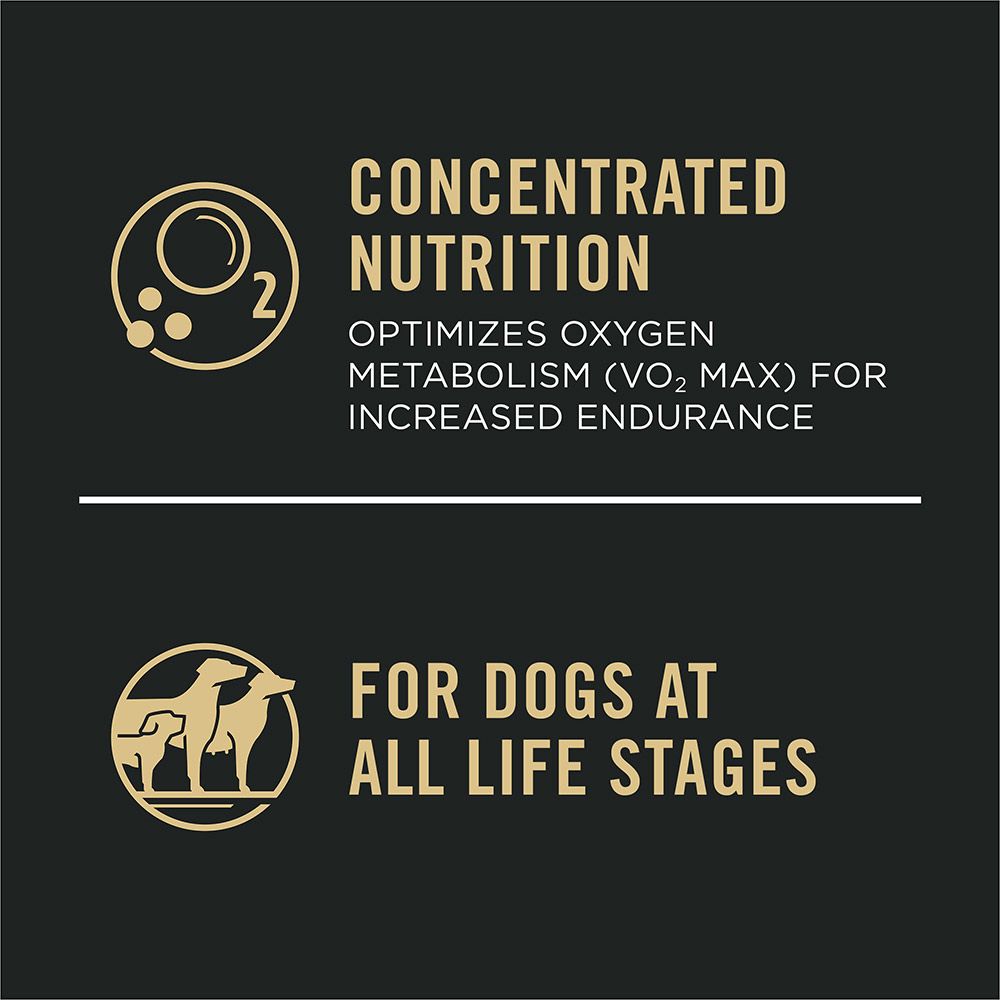pro-plan-sport-30-20-dry-dog-food-nutrition-all-life-stages.jpg