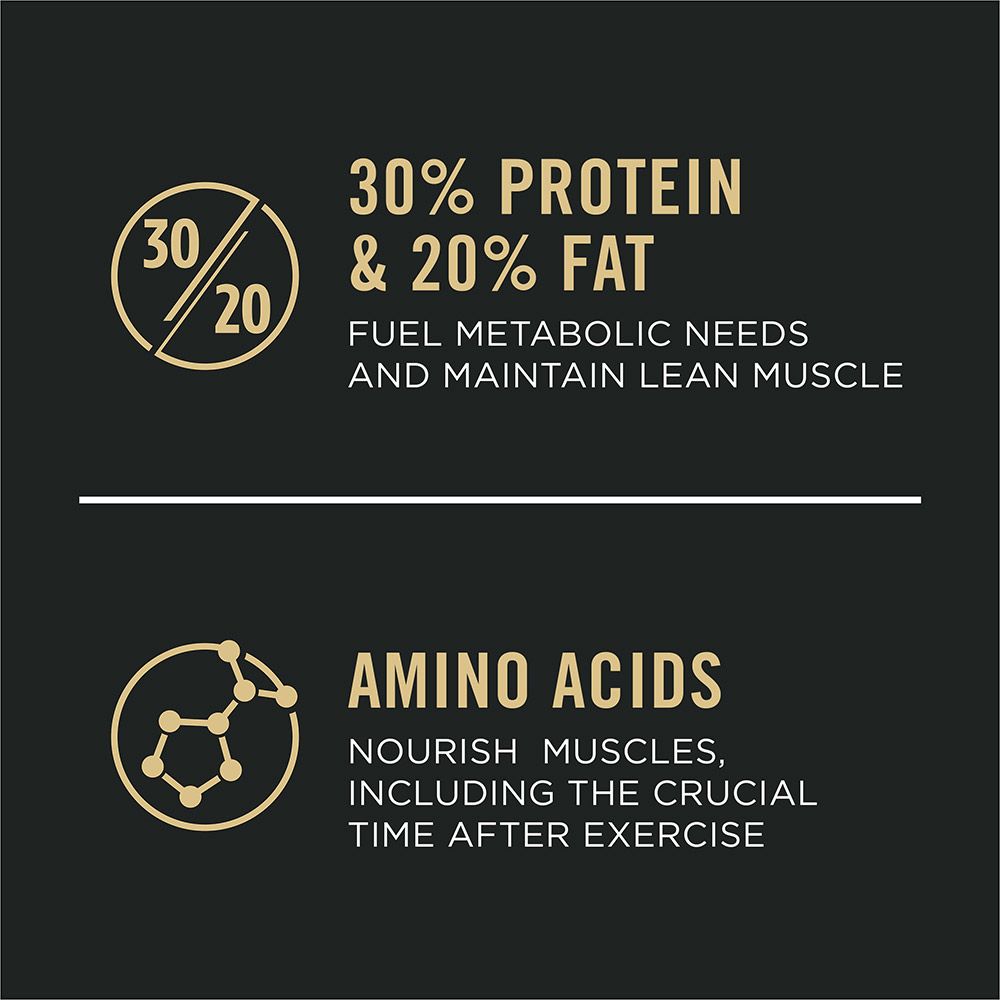 pro-plan-sport-30-20-dry-dog-food-protein-fat-amino-acids.jpg