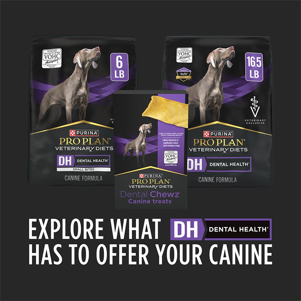 pro-plan-veterinary-diets-explore-what-dental-health-has-to-offer-your-canine.jpg