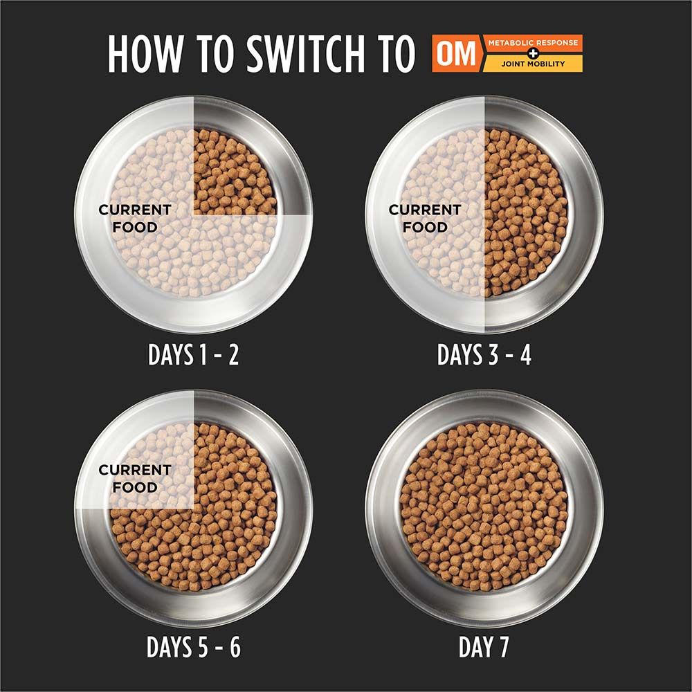 pro-plan-veterinary-diets-om-metabolic-response-joint-mobility-how-to-switch.jpg