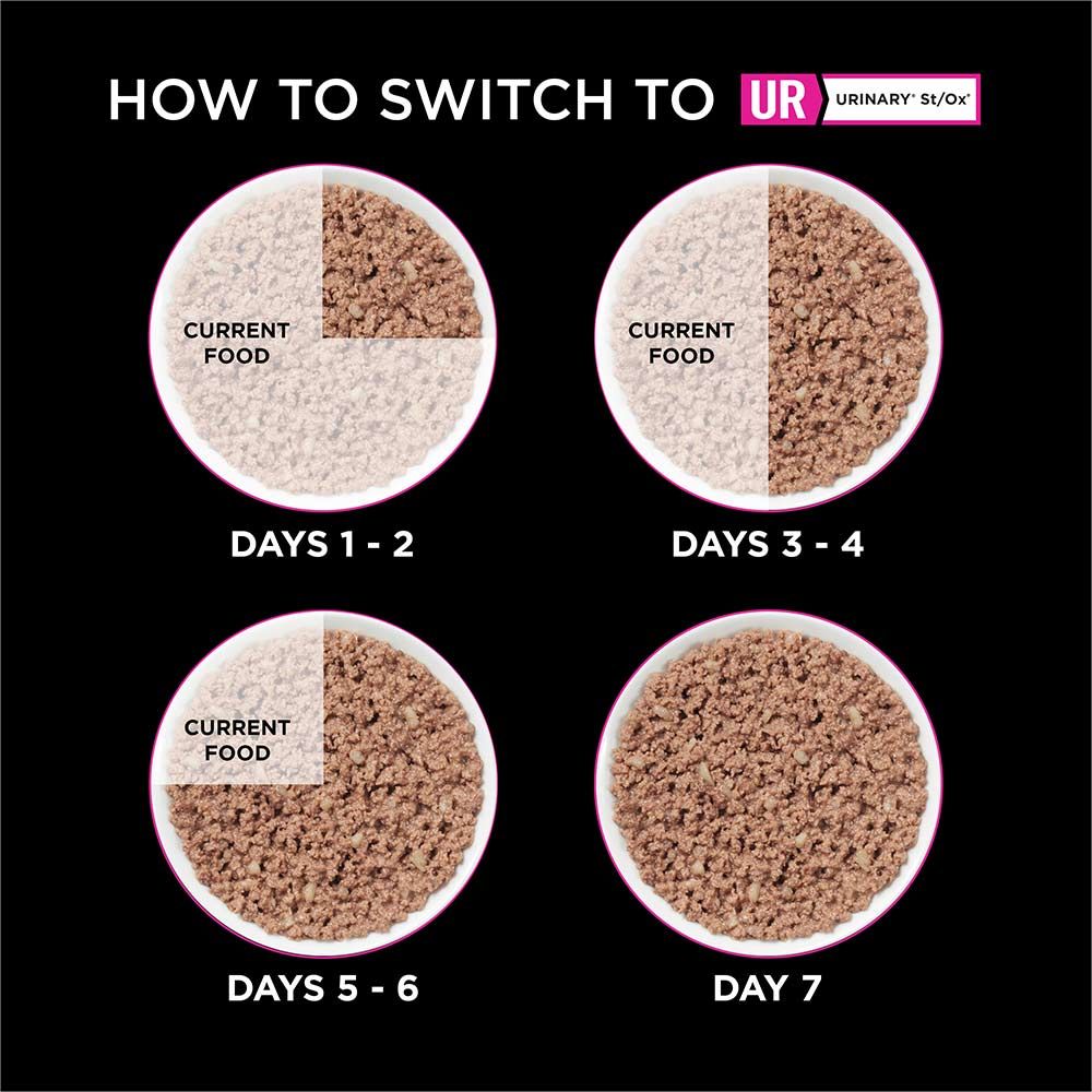 pro-plan-veterinary-diets-ur-urinary-feline-wet-how-to-switch.jpg