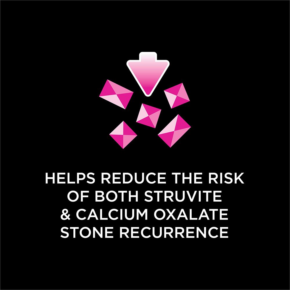 pro-plan-veterinary-diets-ur-urinary-feline-wet-reduce-risk.jpg