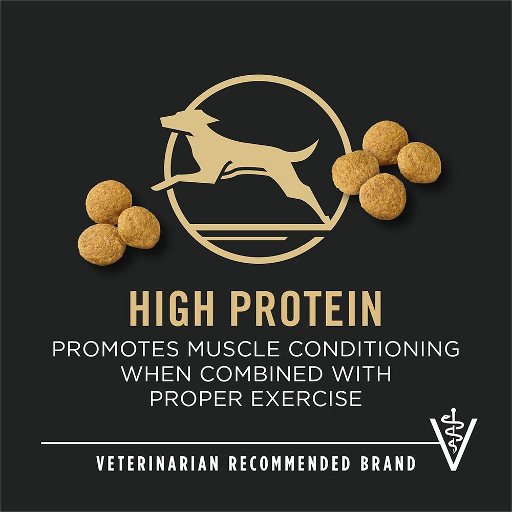 pro_plan_adult_large_breed_dry_dog_food_high_protein_vet_recommended.jpg