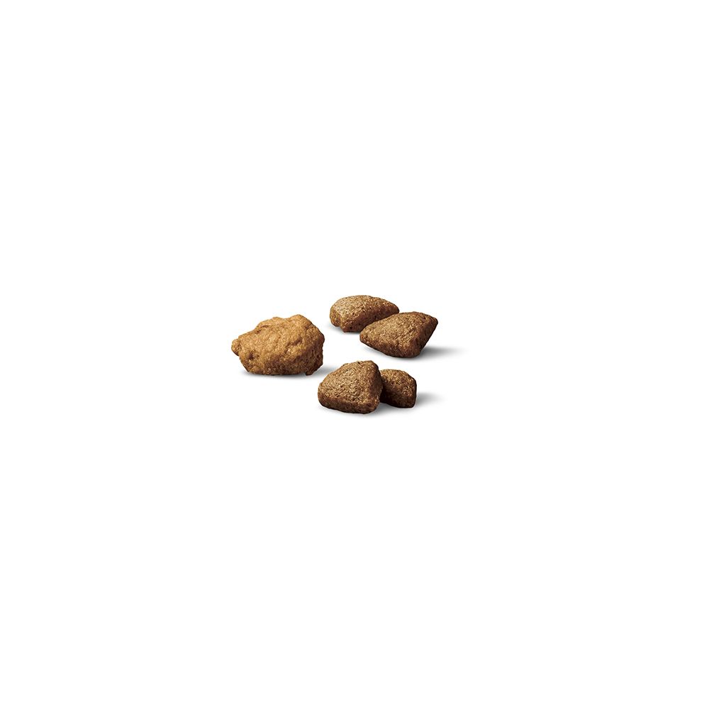 pro_plan_complete_essentials_dry_dog_food_kibble_2.jpg