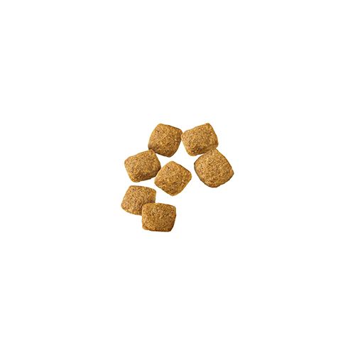 pro_plan_dry_dog_wm_cknrc_2_500x500.jpg
