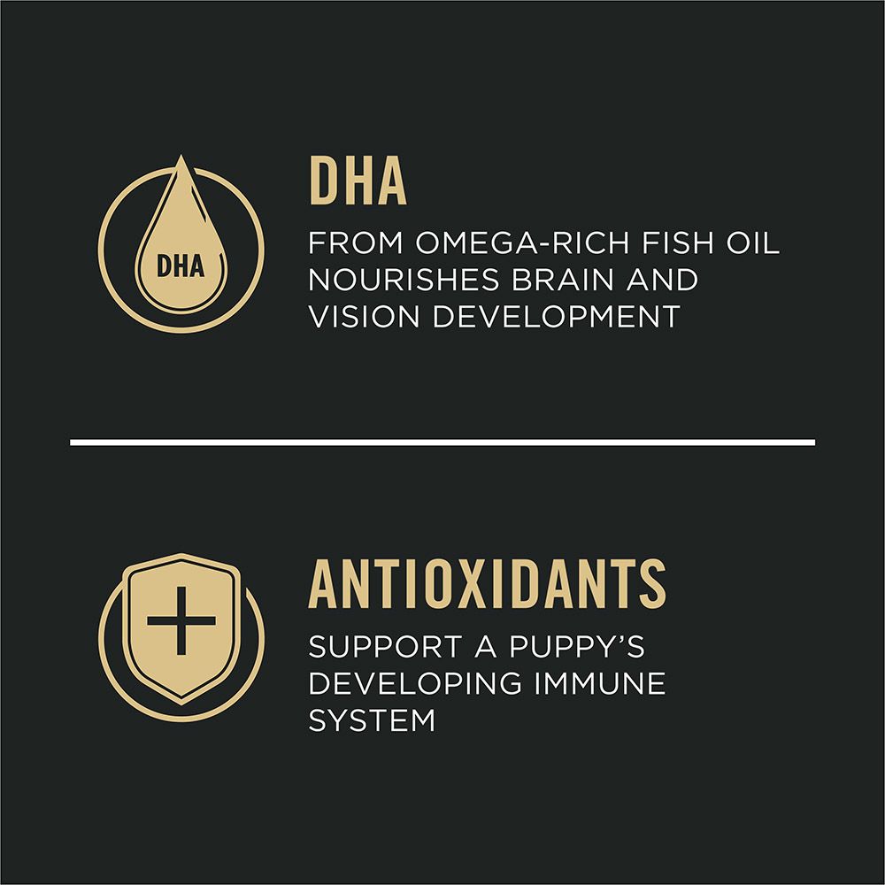 pro_plan_large_breed_puppy_dry_dog_food_dha_antioxidants.jpg
