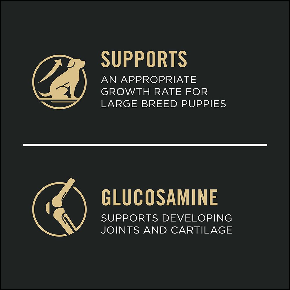 pro_plan_large_breed_puppy_dry_dog_food_growth_glucosamine.jpg