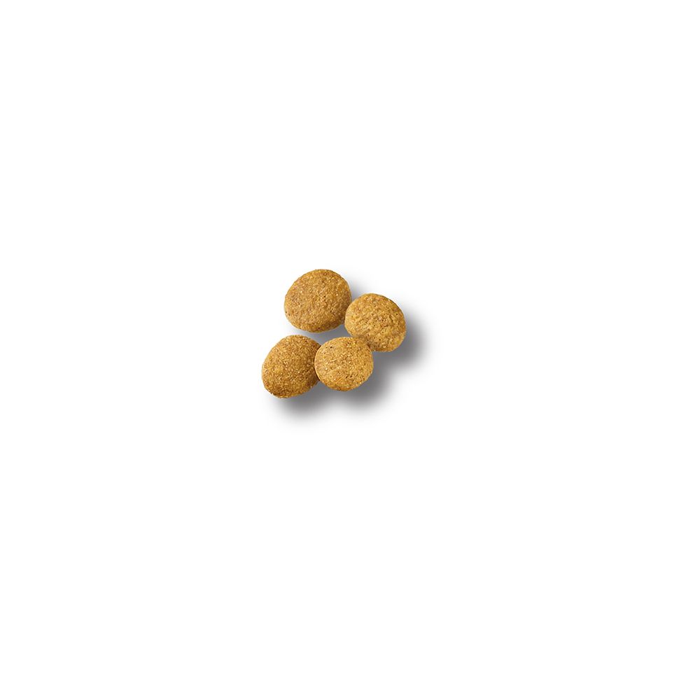pro_plan_large_breed_puppy_dry_dog_food_kibble.jpg