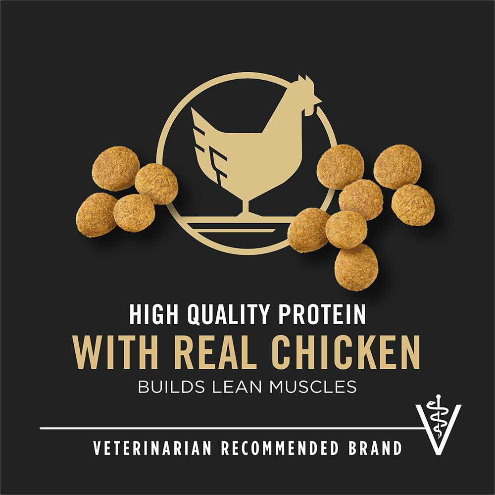 pro_plan_large_breed_puppy_dry_dog_food_protein_vet_recommended.jpg