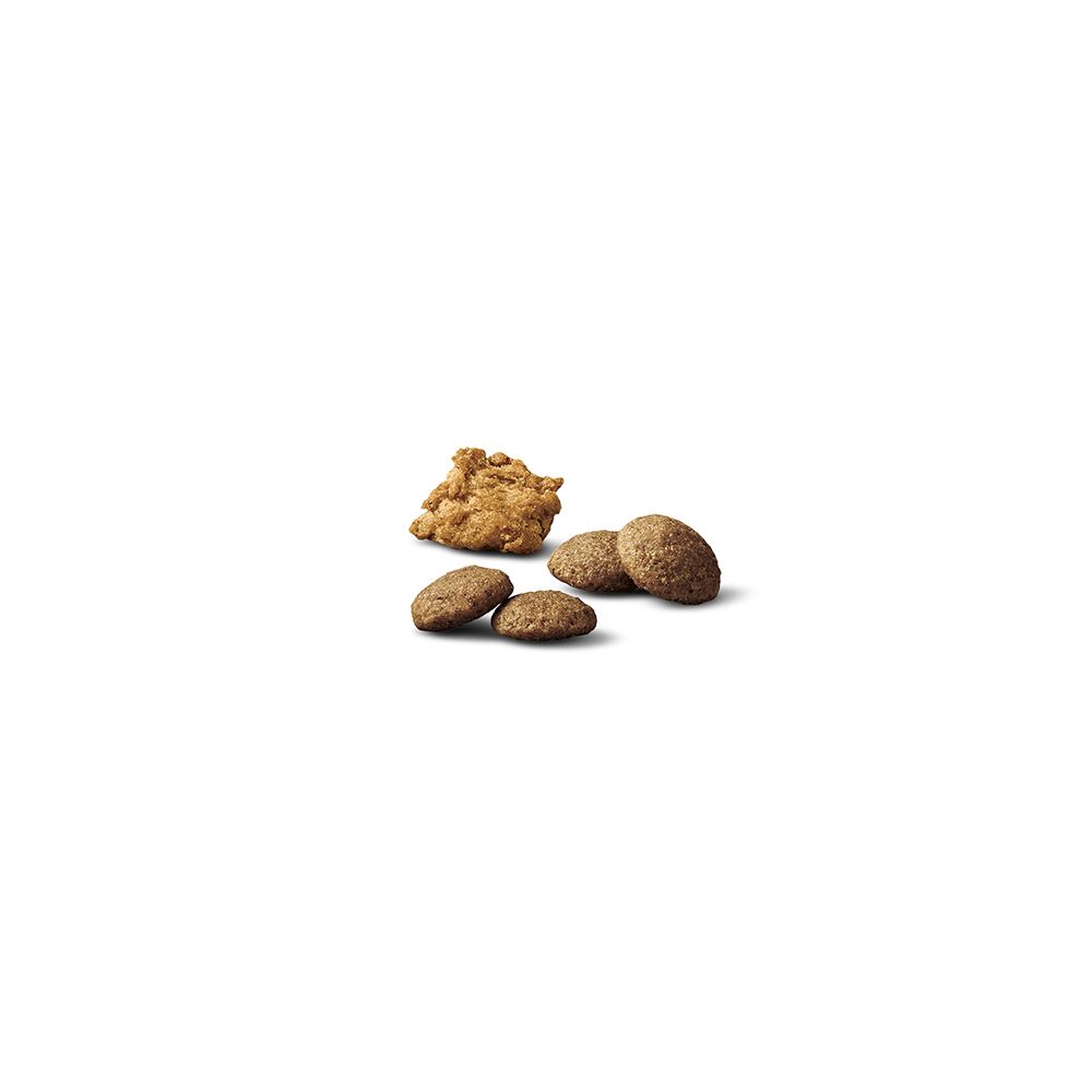 pro_plan_large_breed_shredded_blend_dry_dog_food_kibble_1.jpg