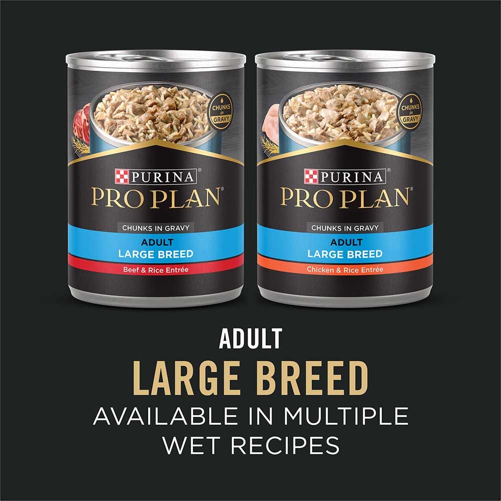 pro_plan_large_breed_wet_dog_food_recipes_1.jpg