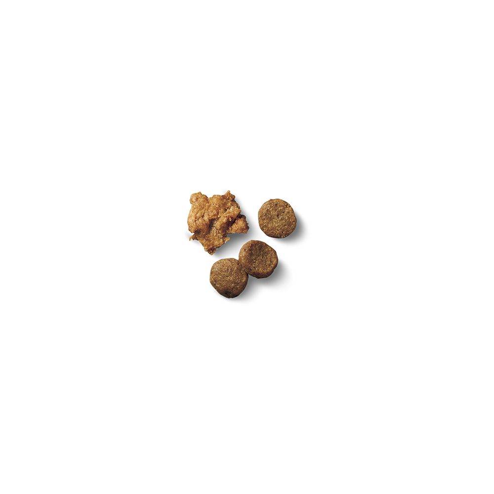 pro_plan_puppy_chicken_rice_shredded_blend_dry_dog_food_kibble.jpg