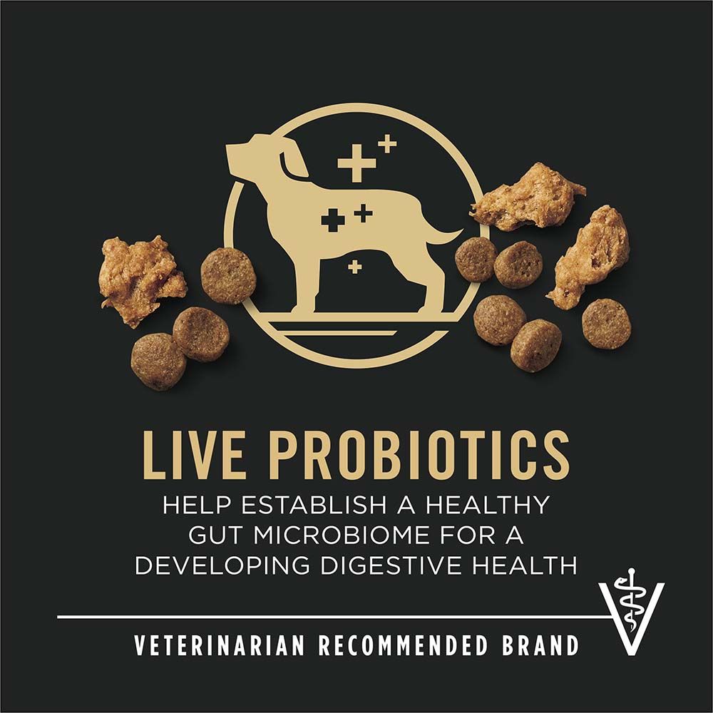 pro_plan_puppy_chicken_rice_shredded_blend_probiotic_vet_recommended.jpg