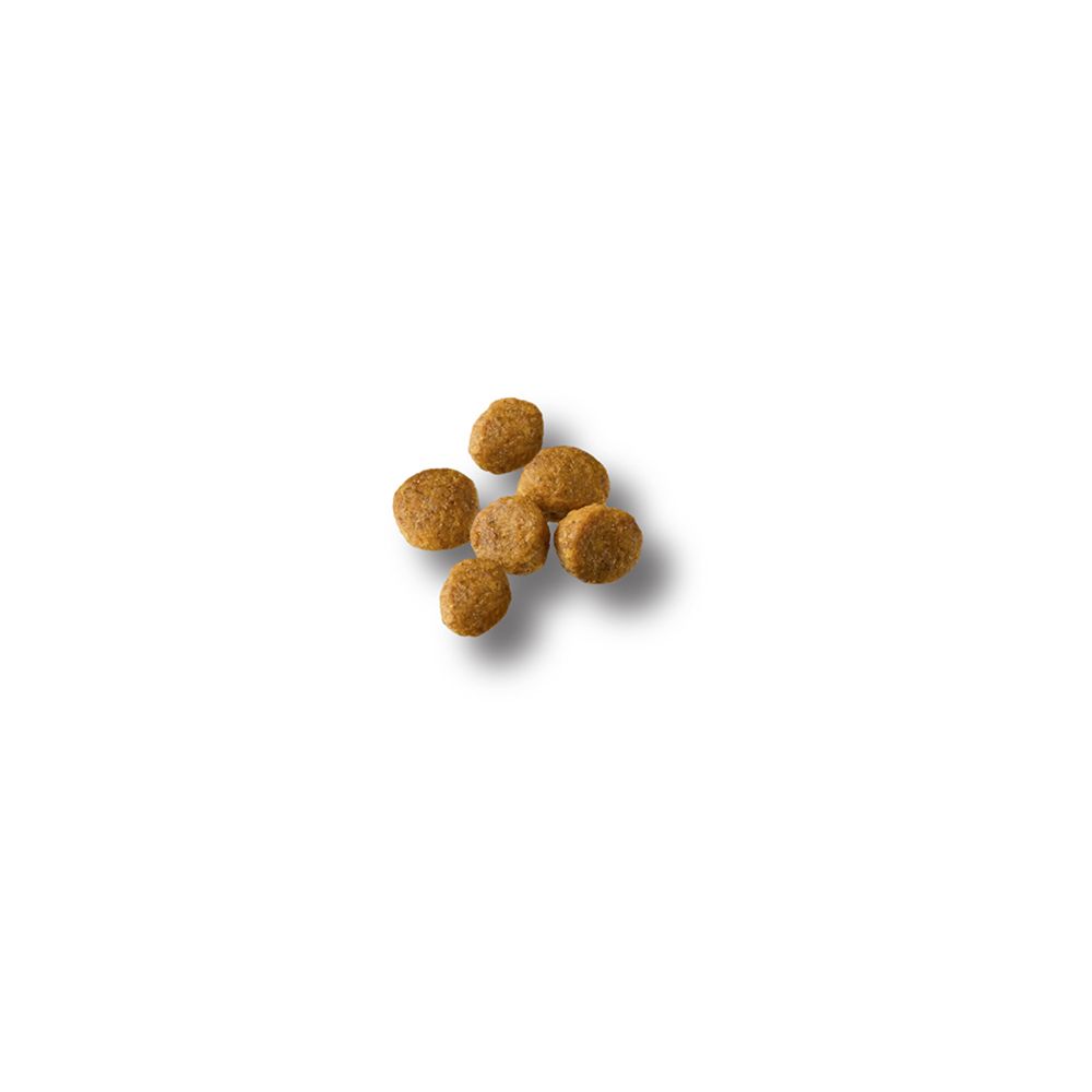 pro_plan_puppy_small_breed_chicken_rice_dry_dog_food_kibble.jpg