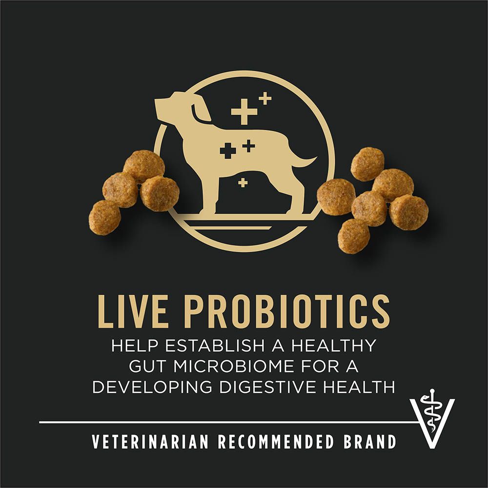 pro_plan_puppy_small_breed_chicken_rice_probiotic_vet_recommended.jpg