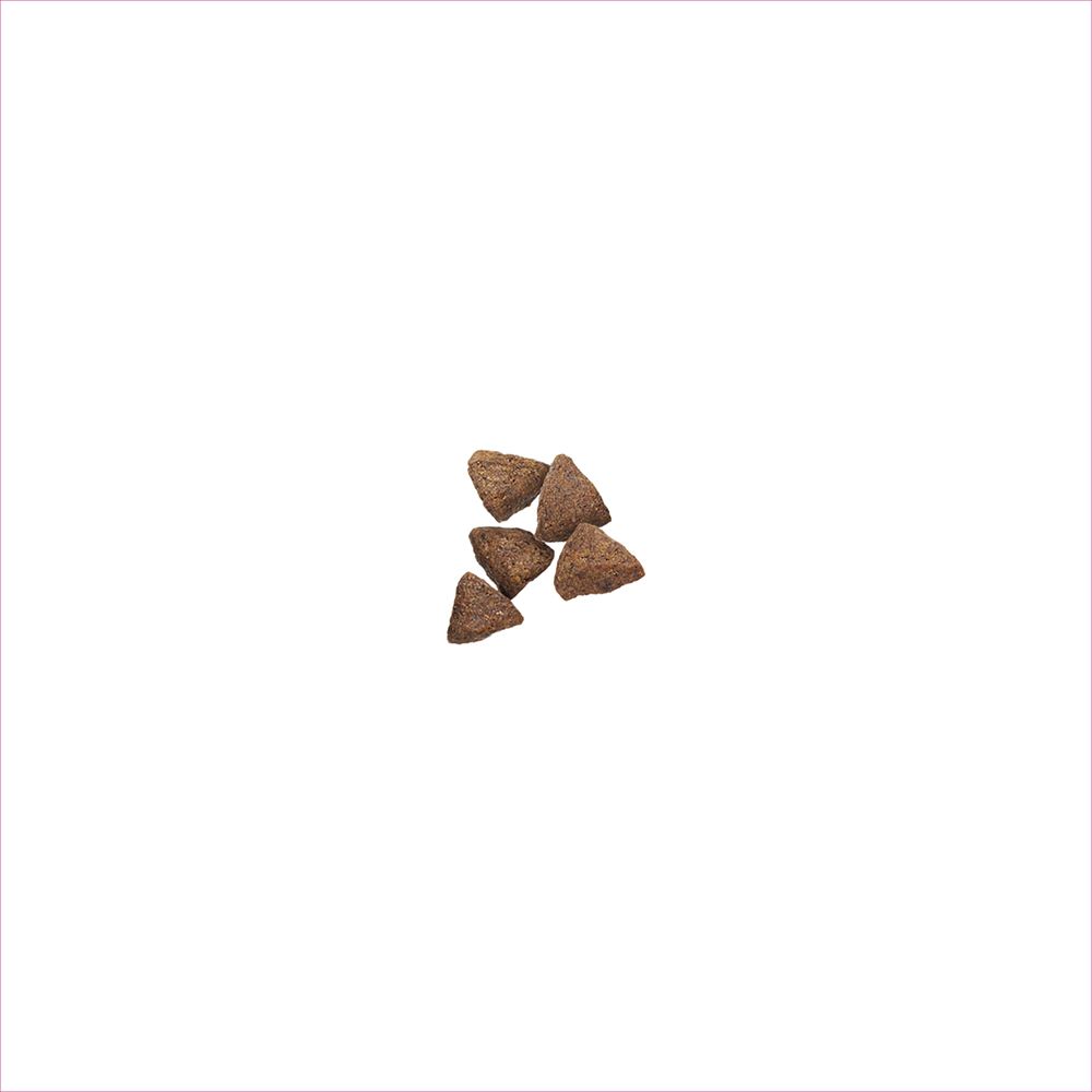 pro_plan_sensitive_skin_stomach_small_breed_dry_dog_food_kibble.jpg