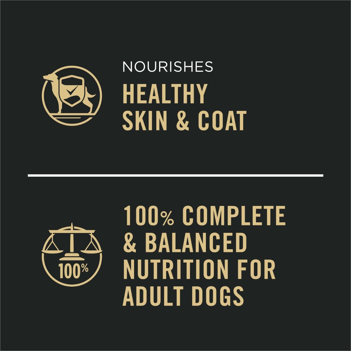 purina-pro-plan-complete-essentials-chicken-vegtables-wet-dog-food-complete-nutrition.jpg