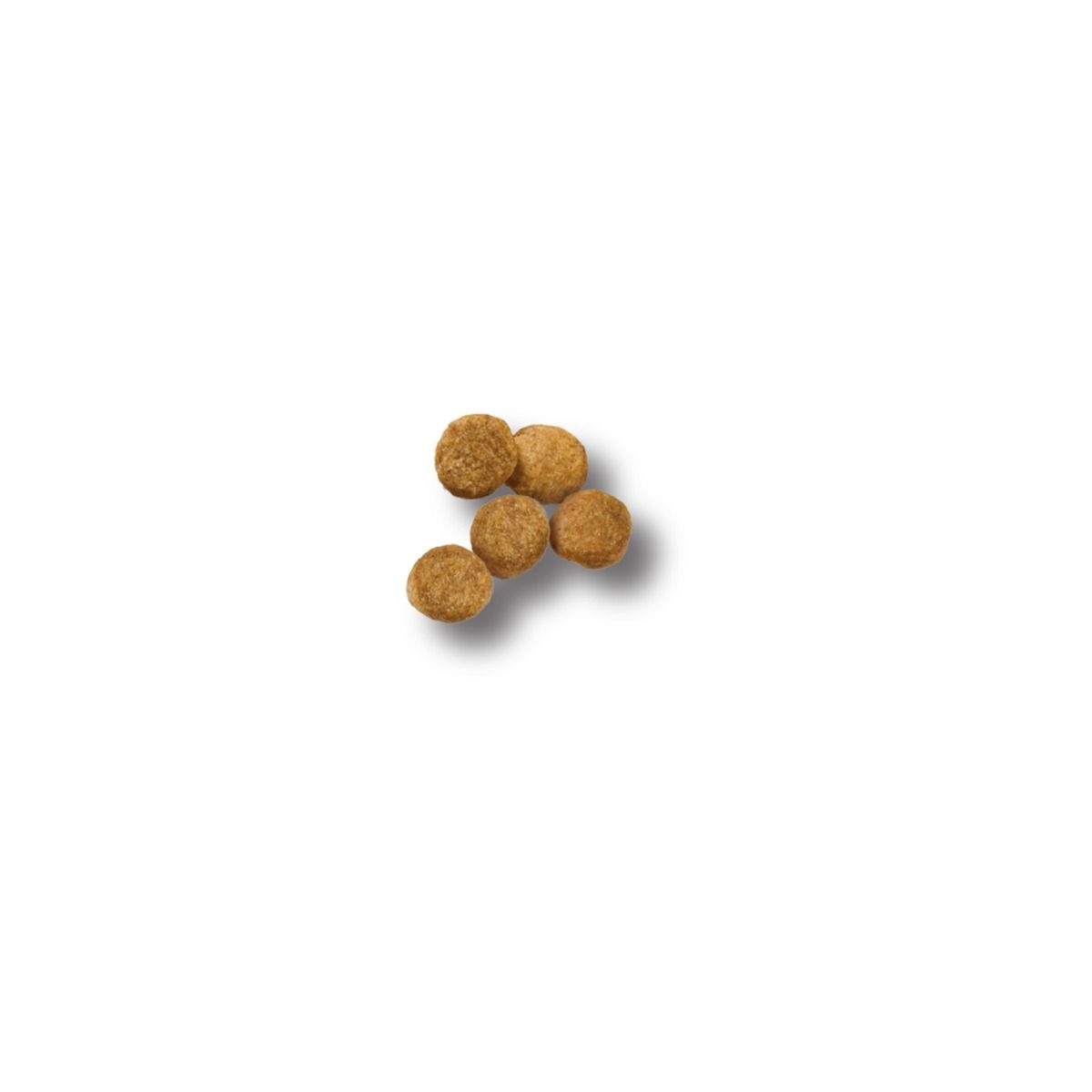 purina-pro-plan-development-puppy-lamb-rice-dry-dog-food-kibble.jpg